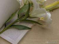上海而萨而网络科技有限公司